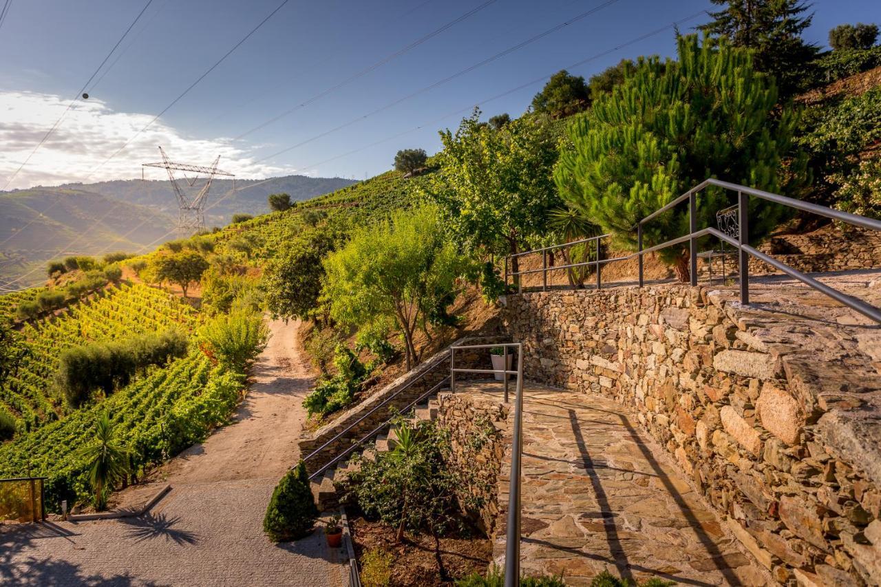 Quinta da Portela Douro Armamar Exterior foto
