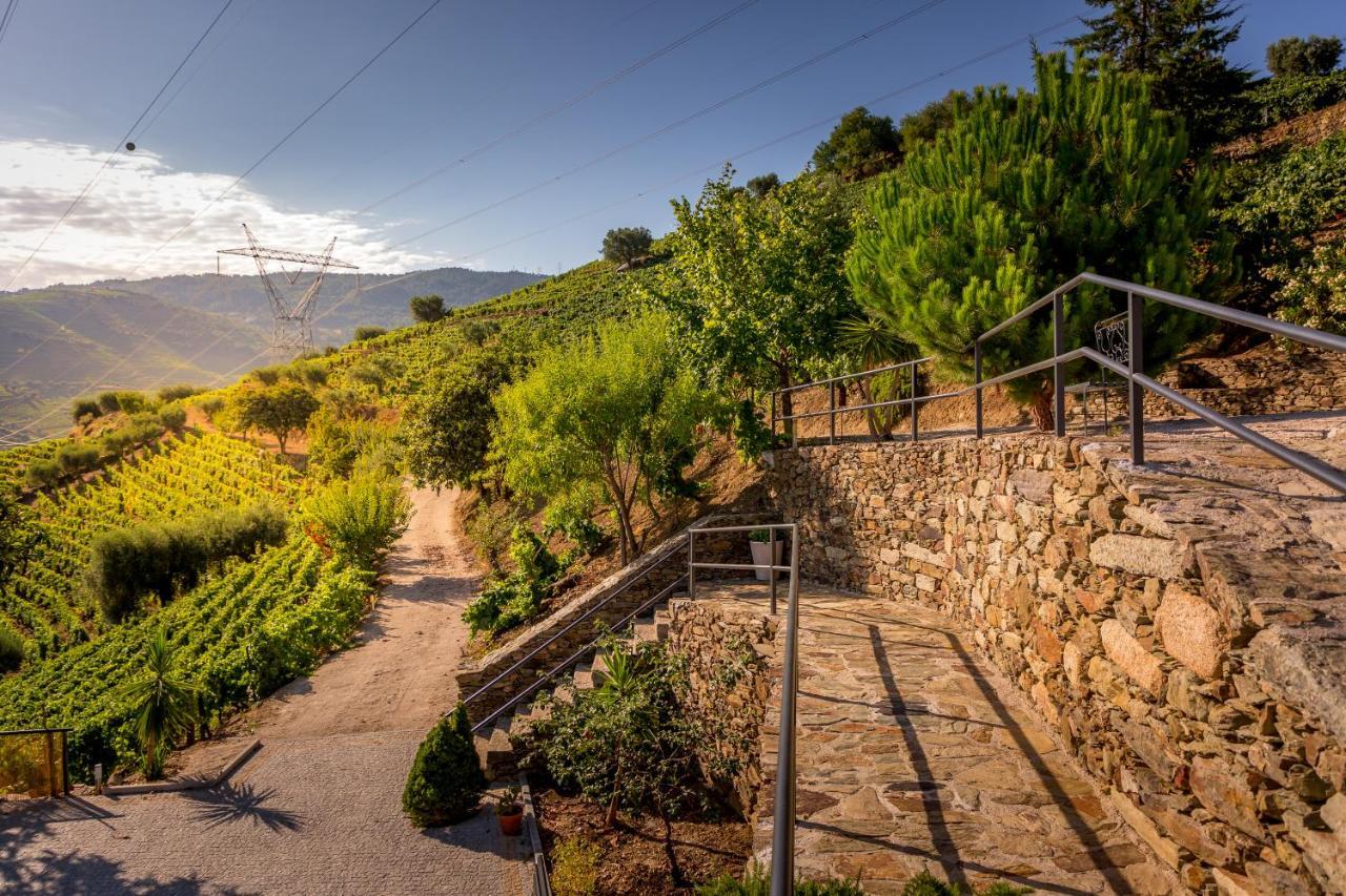 Quinta Da Portela Douro Acomodação com café da manhã Armamar Exterior foto